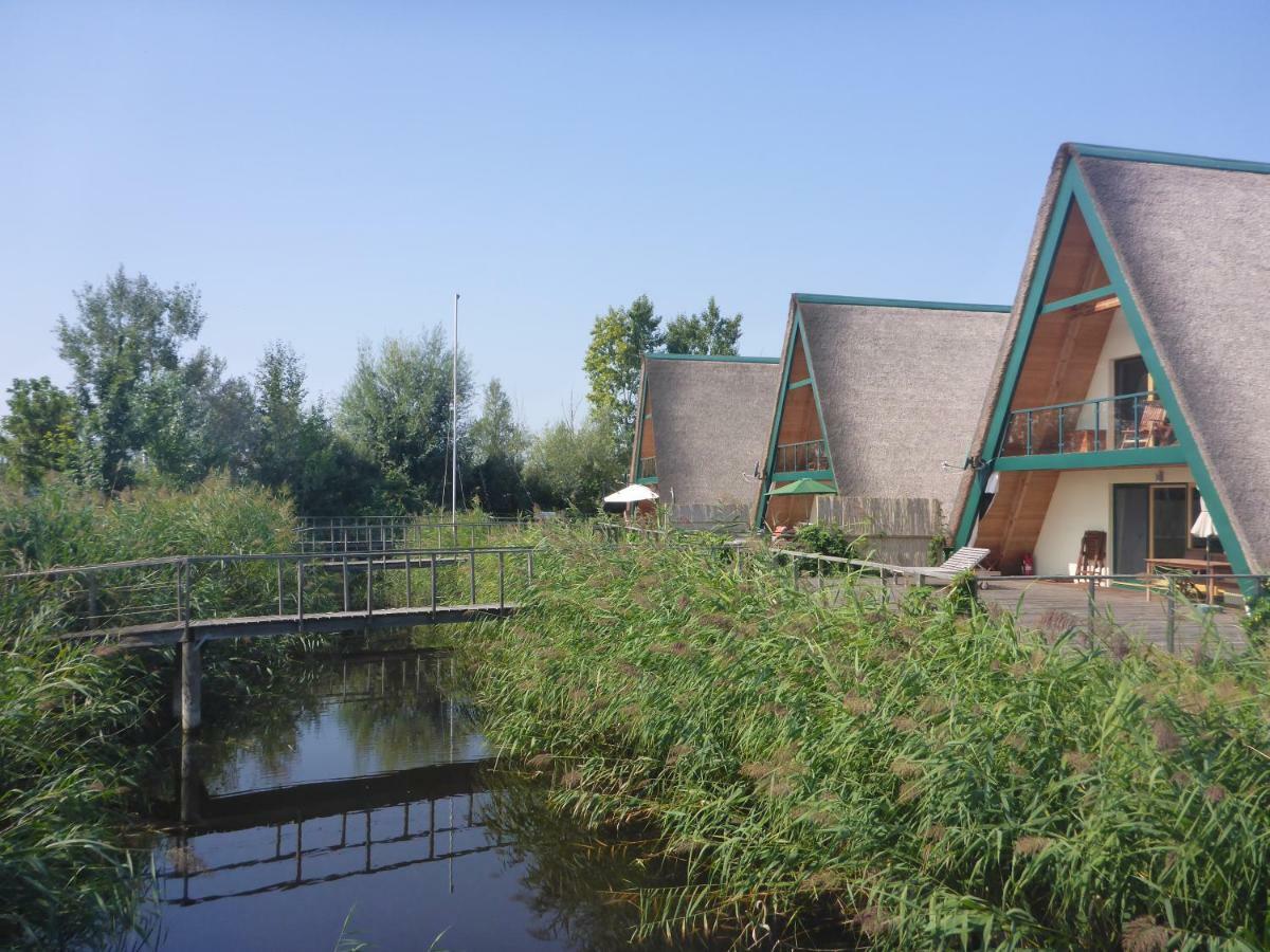 Ferienhaeuser Finiki Пурбах-ам-Нойзидлер-Зе Экстерьер фото